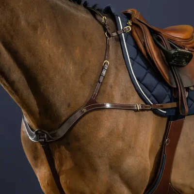 Image of Dyon Anatomic Breastplate