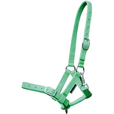 Image of Harry&#039;s Horse Foal Headcollar