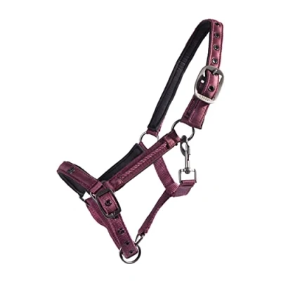Image of QHP Foal Halter Lily