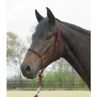 Image of Busse Rope halter Standard