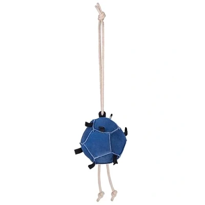 Image of QHP Horse toy ball
