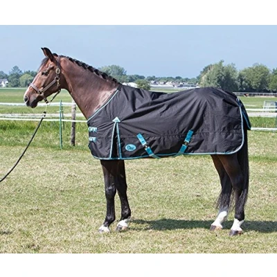 Image of Harry&#039;s Horse Thor rug black, fleece lining