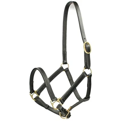 Image of HB Leather Baby Foal Halter