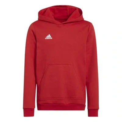 Image of adidas Unisex Children&#039;s Entrada 22 Sweat Hoodie Sweatshirt (Pack of 1)