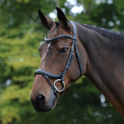Image of Collegiate ComFiTec Vogue Anatomical Bridle