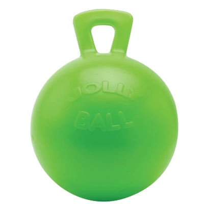 Image of Jolly Ball 25cm with a tasty smell!
