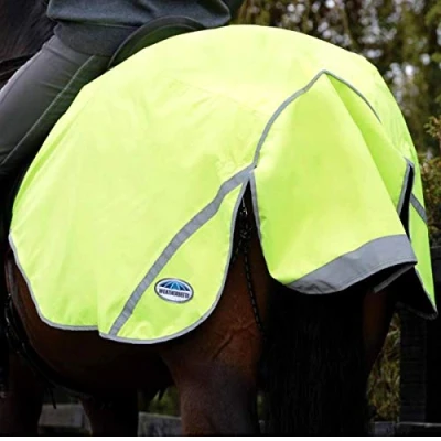 Image of WeatherBeeta 300D Reflective Exercise Sheet, Yellow, Large