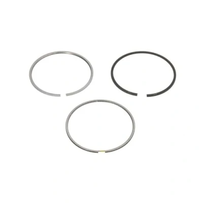 Image of Piston Ring Kit KOLBENSCHMIDT 800116410000