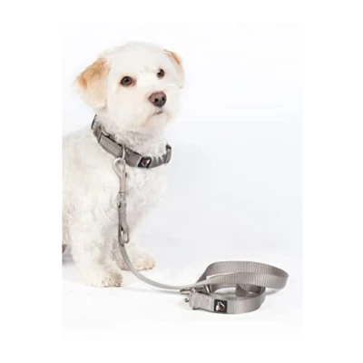 Image of HKM Dog Leash Anam Cara