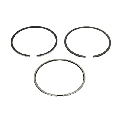 Image of Piston Ring Kit KOLBENSCHMIDT 800108610000