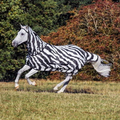 Image of Bucas Buzz Off Zebra With Detachable Neck
