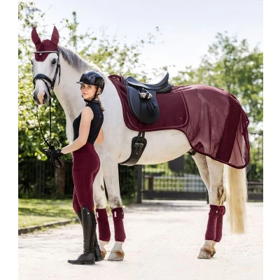 Image of Waldhausen SS25 Walking Rug Rom