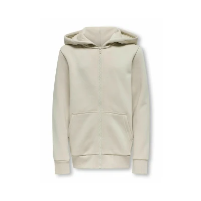 Image of Only &amp; sons junior Boys&#039; Osjceres Zip THR. Hoodie SWT Noos, Silver Lining, 158 164