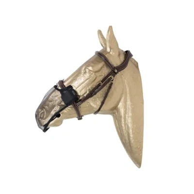 Image of Kentucky Anti Fly Nose Net