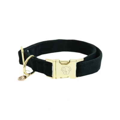 Image of Kentucky Dog Collar Corduroy