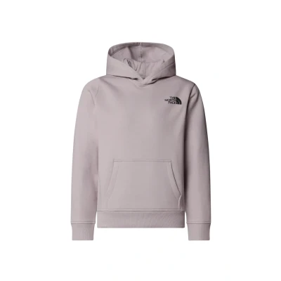 Image of The North Face Regular Hoodie for kids, Size: XS, Moonstone grey