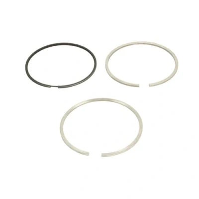 Image of Piston Ring Kit KOLBENSCHMIDT 800101710000