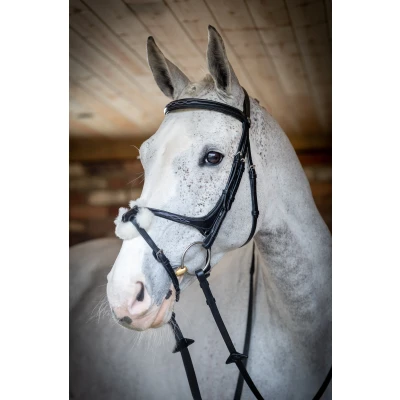 Image of LeMieux Grackle bridle