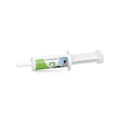 Image of Horse Electrolytes Gel Injector