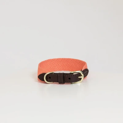 Image of Kentucky Dog collar Jacquard