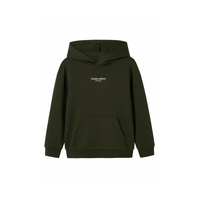 Image of Name it Nkmbrody Hoodie for kids, Size: 9 10y, Beige