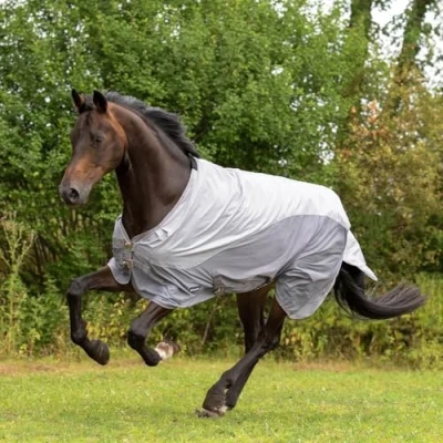 Image of Busse Paddock rug Rainfly