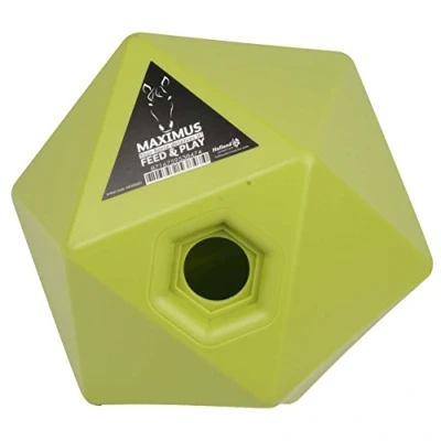 Image of Maximus Feed &amp; Play