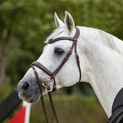 Image of Passier Snaffle Bridle No Limits