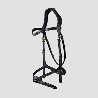 Image of Dyon Bridle X Fit D Collection