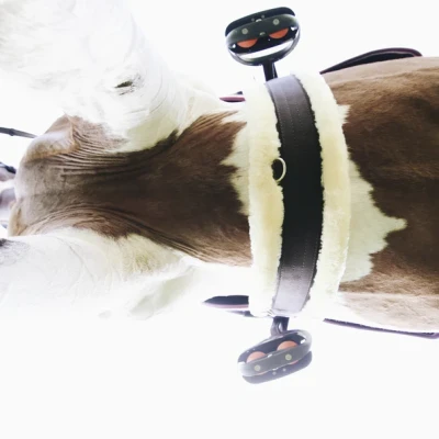 Image of Kentucky Sheepskin Girth Brown
