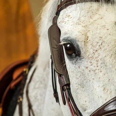 Image of Dyon Blinkers