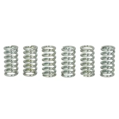 Image of Clutch Spring Set TRW MEF109 6