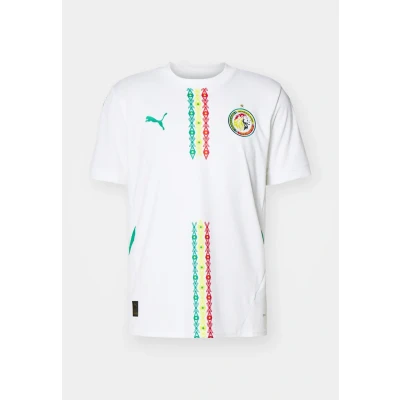 Image of Puma FSF HOME Jersey Replica Football shirt whitesport green, Men&#039;s, Size: Large, white sport green