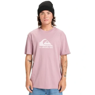 Image of Quiksilver Men&#039;s Ev Comp Logo Ss T Shirt (Pack of 1)