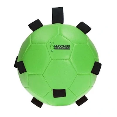 Image of Maximus Fun Play Ball