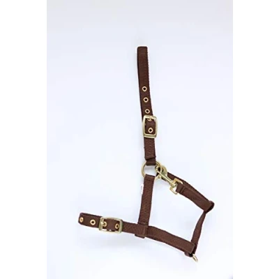 Image of HB Nylon Foal Halter