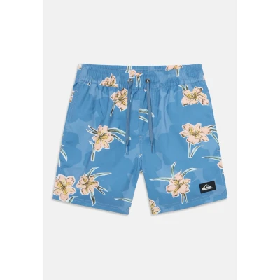 Image of Quiksilver Everyday Straight Volley Swimming shorts, Men&#039;s, Size: S10, Backyards coronet blue