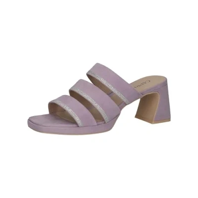 Image of Caprice Heeled mules, Women&#039;s, Size: 3.5, Lavender suede Leather