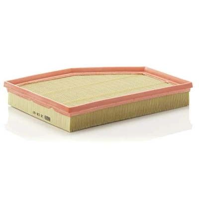 Image of Air FILTER MANN C 30 139