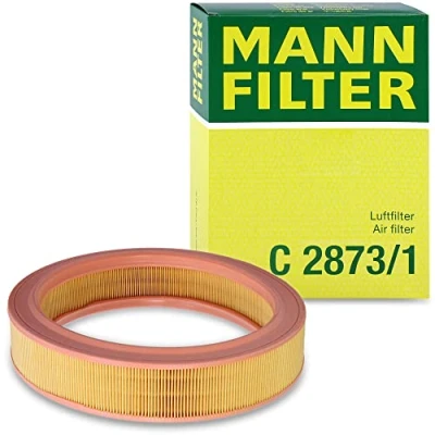 Image of Air FILTER MANN C 2873/1