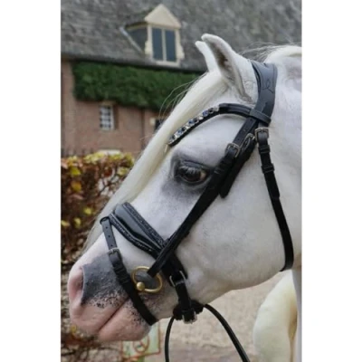 Image of HB Showtime Bridle Special A pony