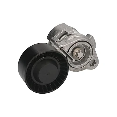 Image of Tensioner Lever, v ribbed belt INA 534 0432 10