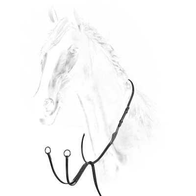 Image of Equiline Martingale