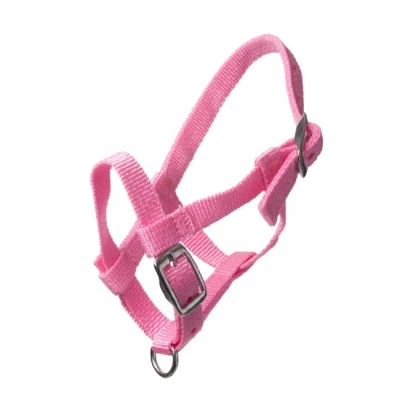 Image of HB Nylon Mini Foal Halter