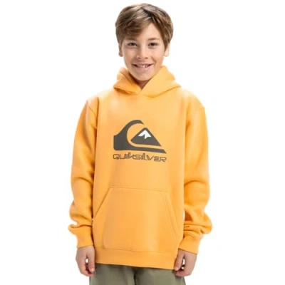 Image of Quiksilver BIG LOGO Hoodie Youth Unisex for kids, Size: 16t, Chamois