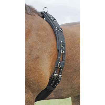 Image of Busse Lunging Girth Profi Soft