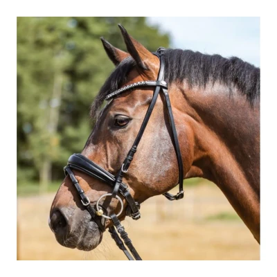 Image of Kavalkade Bridle Ayana