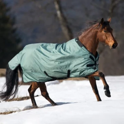 Image of Busse Outdoor rug Flexible Pro 100