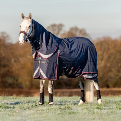 Image of LeMieux Kudos turnout rug 50gr