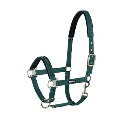 Image of Eskadron Halter pin buckle